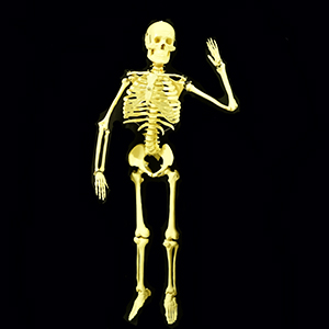 skeleton